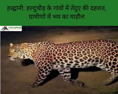 हल्द्वानी: हल्दुचौड़ के गांवों में तेंदुए की दहशत, ग्रामीणों में भय का माहौल