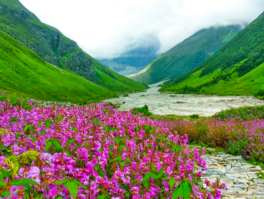 Chamoli