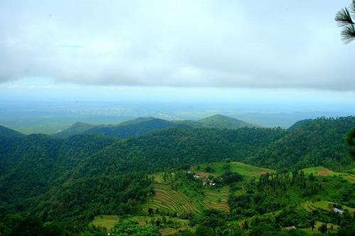 Kaladhungi