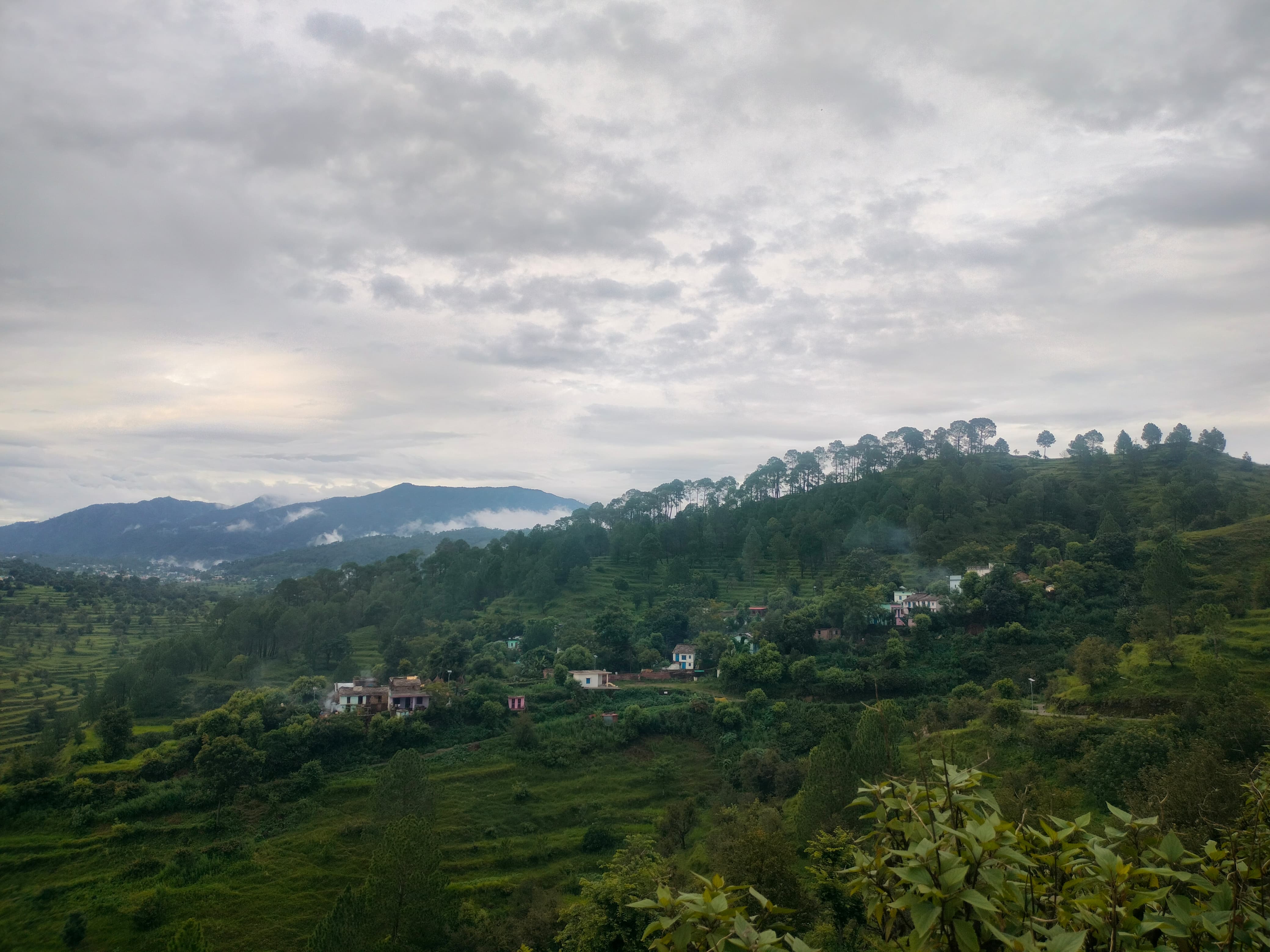 Kichha