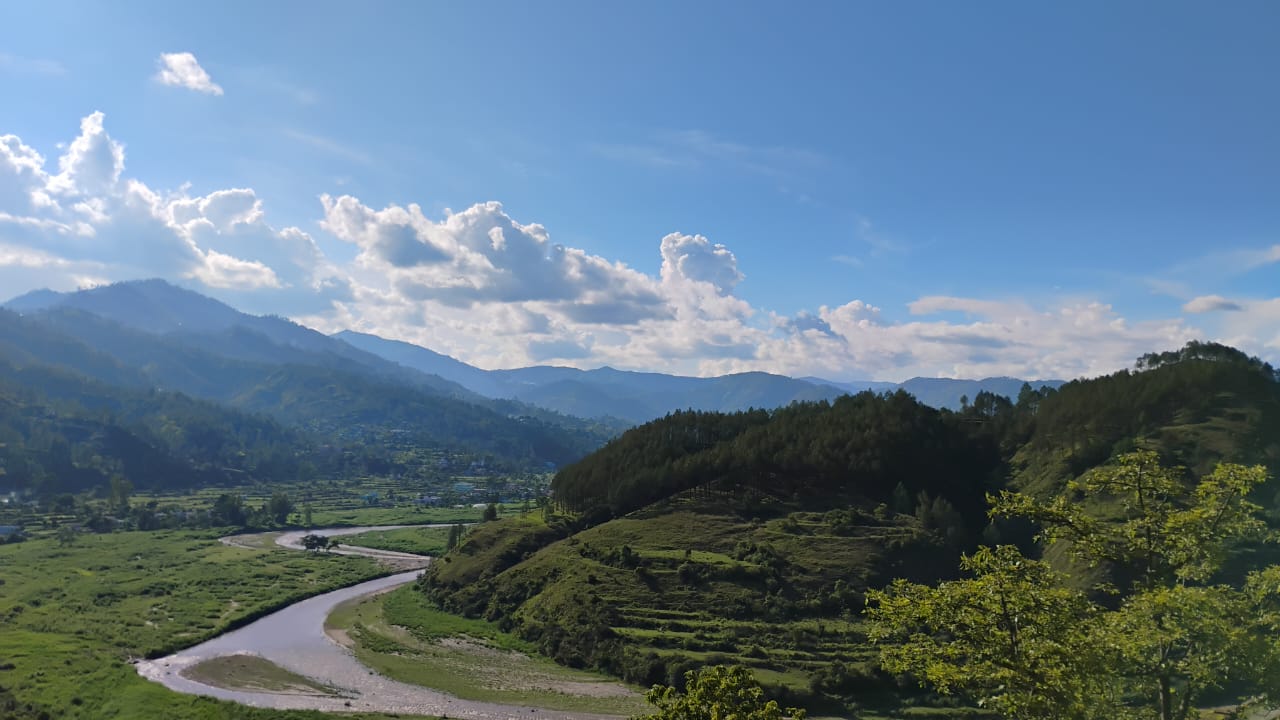 Purola